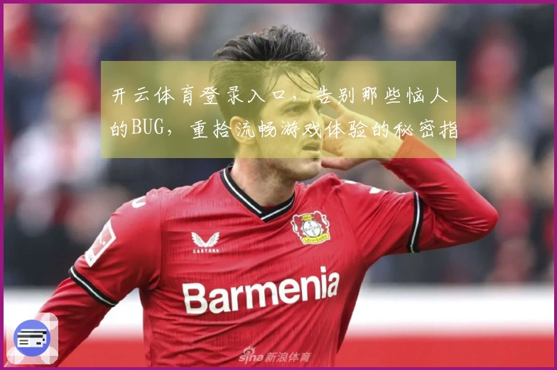 开云体育登录入口，告别那些恼人的BUG，重拾流畅游戏体验的秘密指南