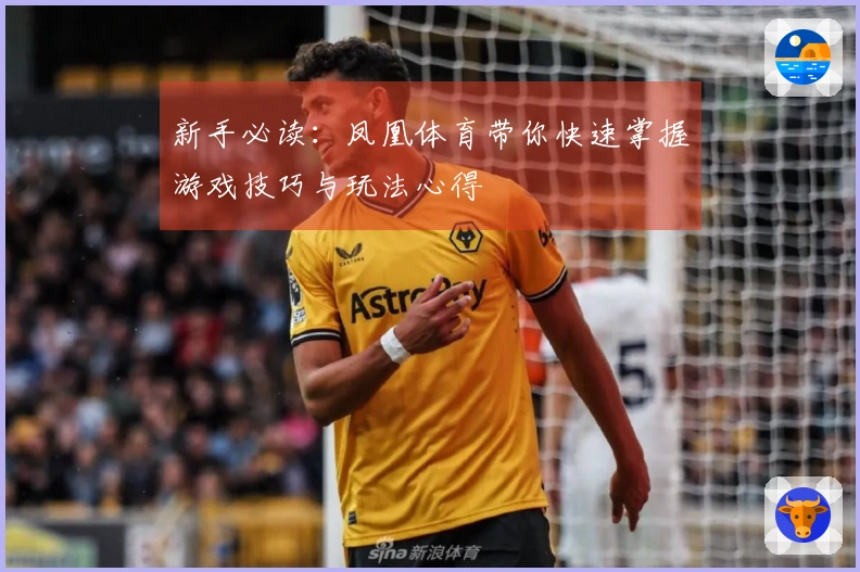 新手必读：凤凰体育带你快速掌握游戏技巧与玩法心得