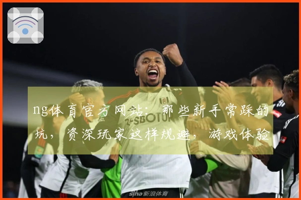 ng体育官方网站：那些新手常踩的坑，资深玩家这样规避，游戏体验大不同