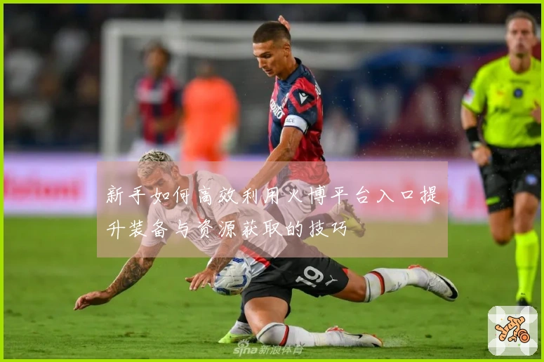 新手如何高效利用火博平台入口提升装备与资源获取的技巧